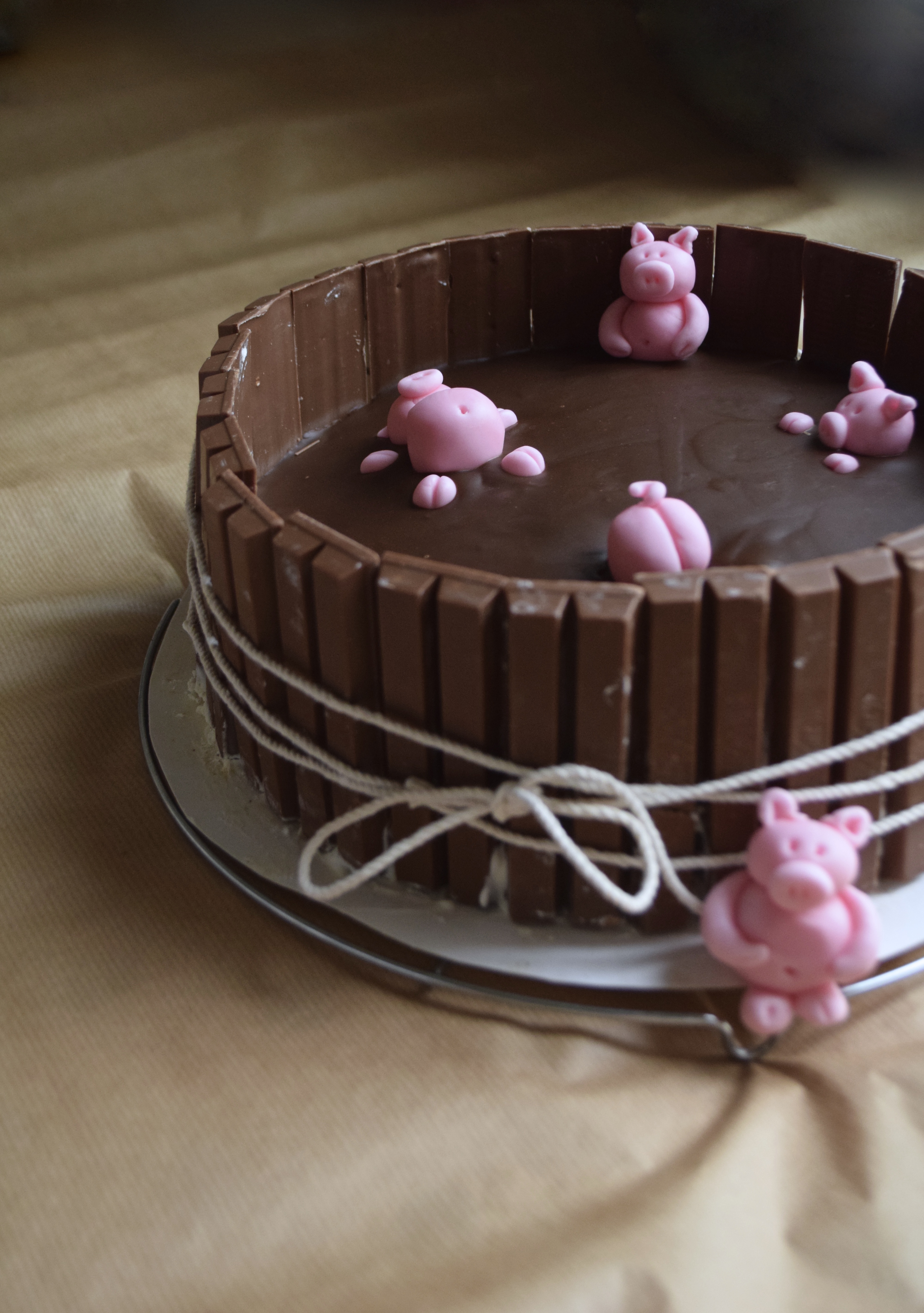 "Pigs in the mud" cake