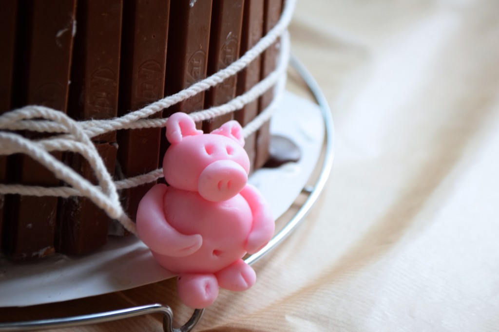 pigs in the mud cake