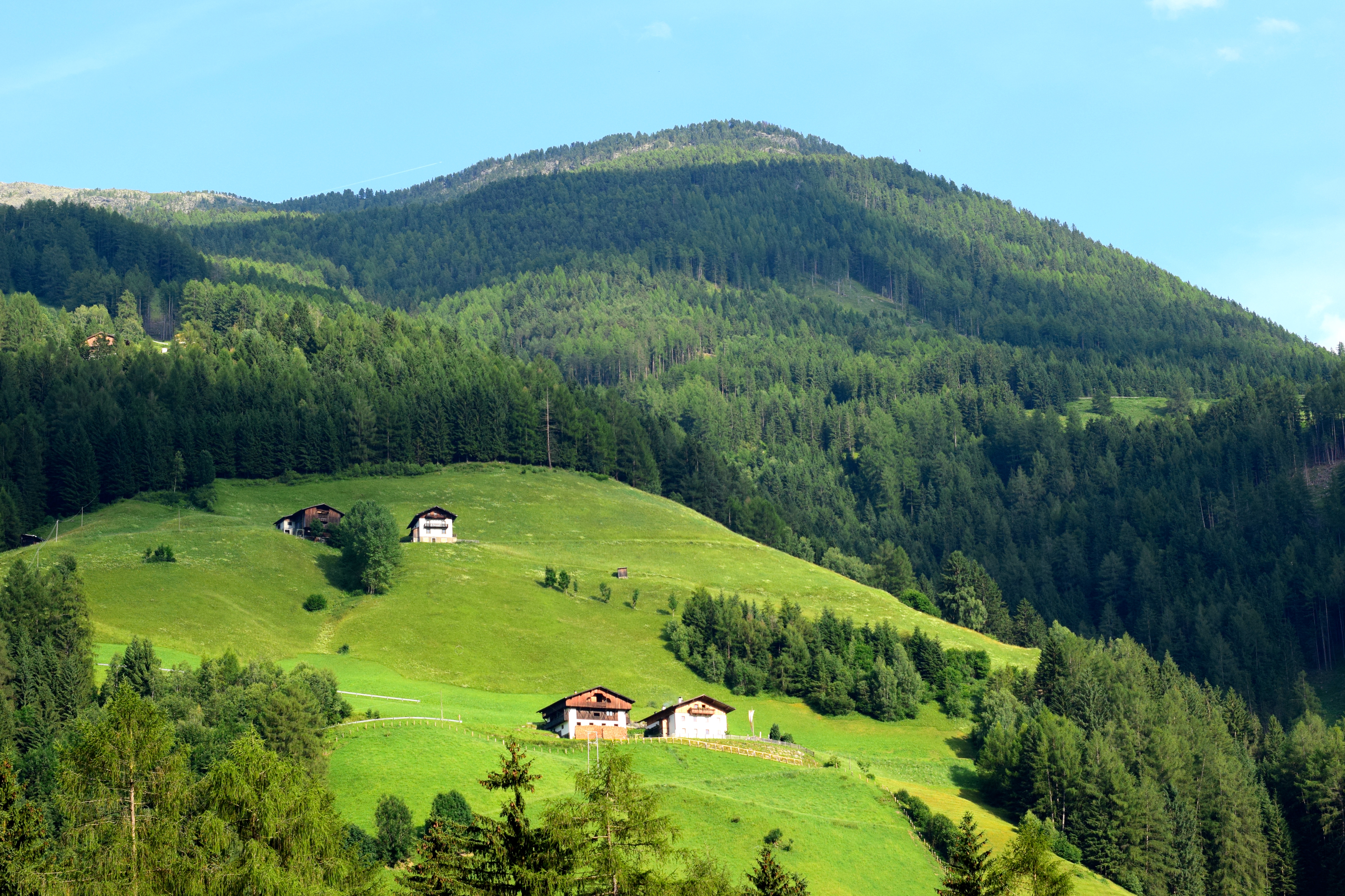 Alpen palace South Tyrol Andreas Schwienbacher cuisine gastronomy