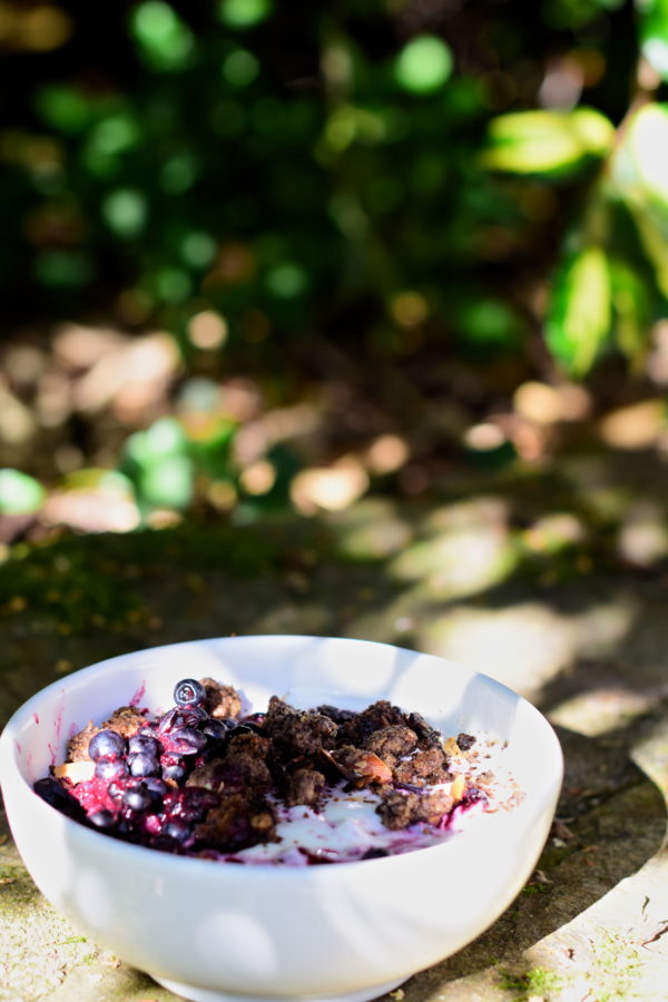 Wild blueberries breakfast bowl, cacao crumble