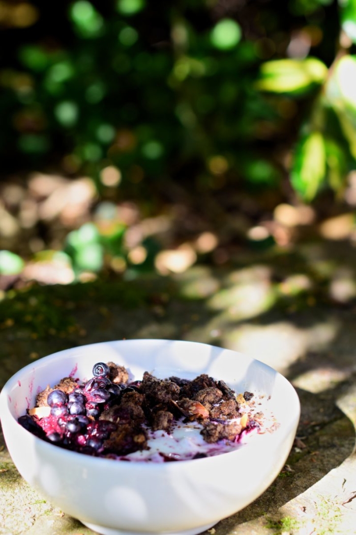 Bol du petit-déjeuner aux myrtilles sauvages, crumble au cacao