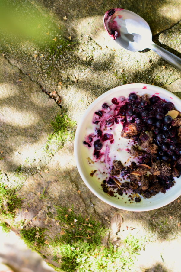 Wild blueberries breakfast bowl, cacao crumble