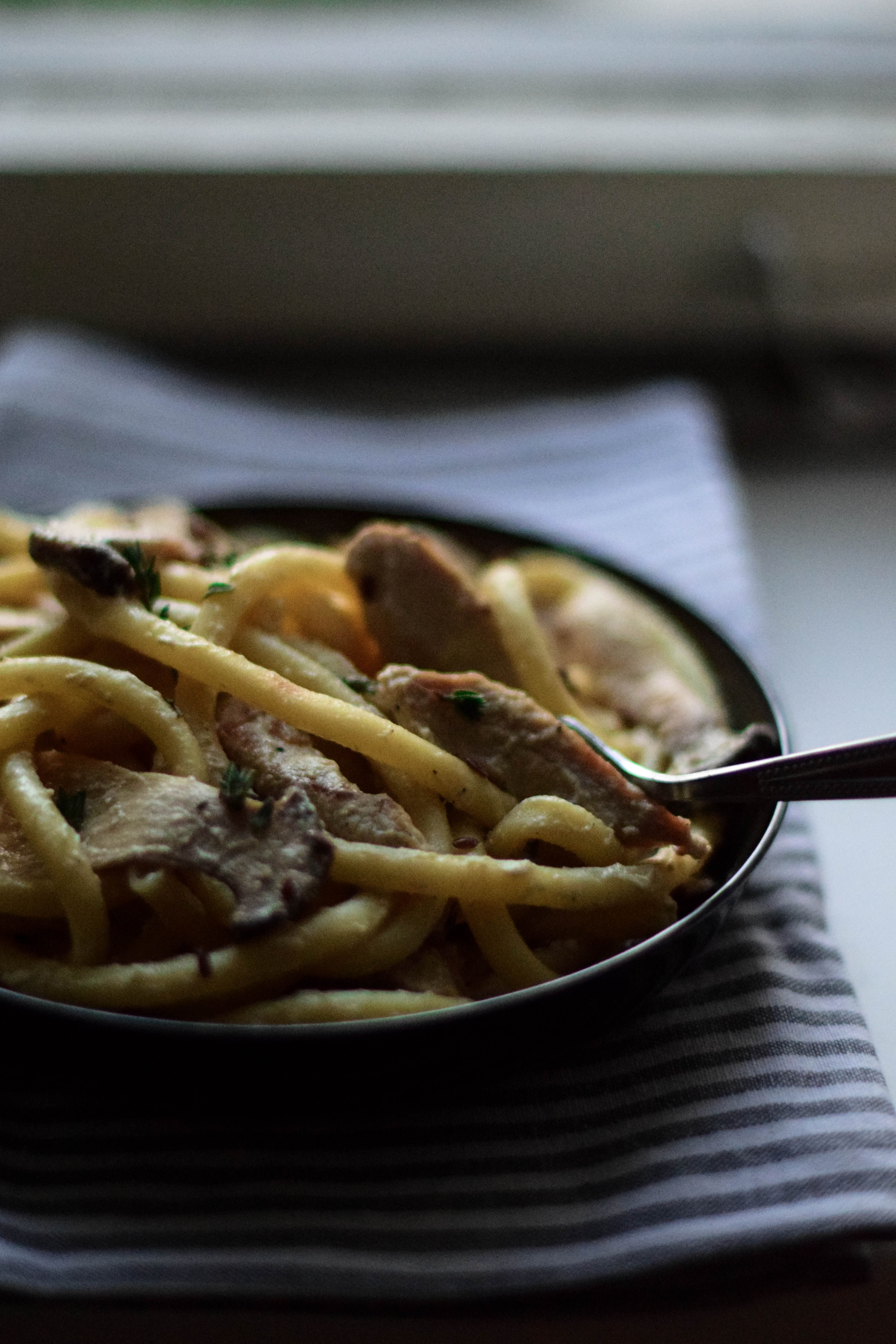 Creamy macaronis with oyster mushrooms, turkey & thyme