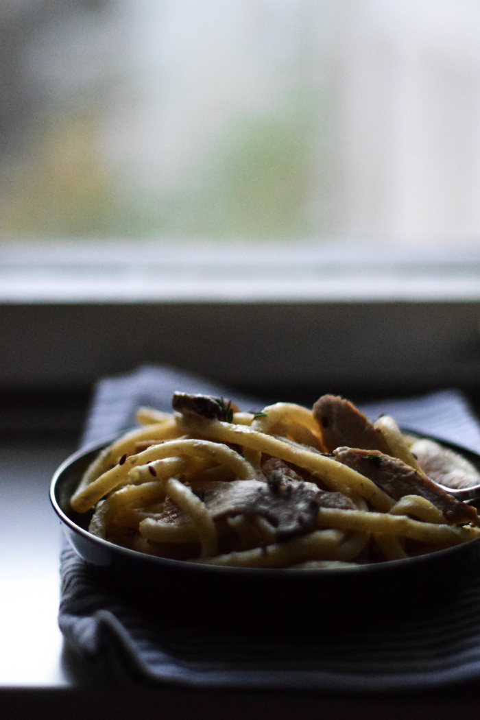 Creamy macaronis with turkey, oyster mushrooms & thyme