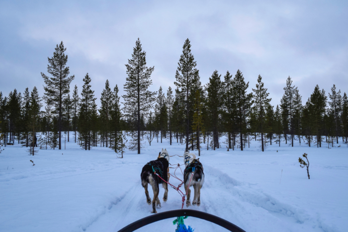 Finnish and Norwegian Lapland