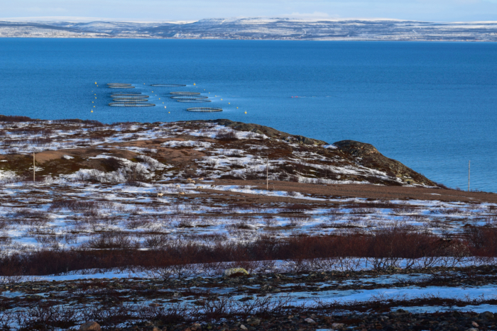 Finnish and Norwegian Lapland