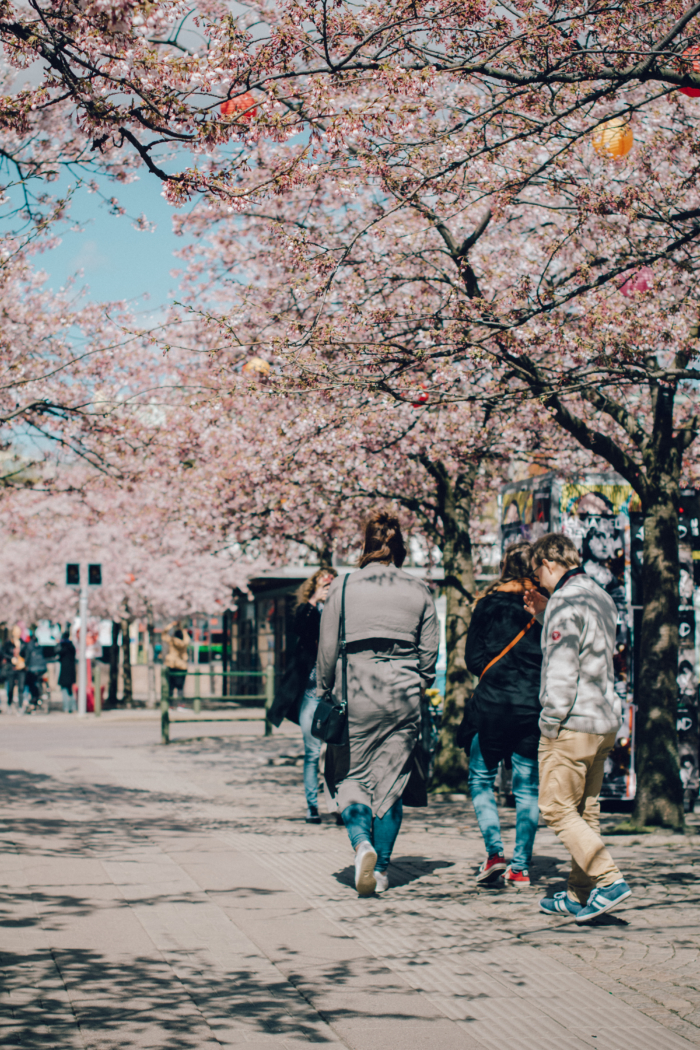 Järntorget - Göteborg city & food guide